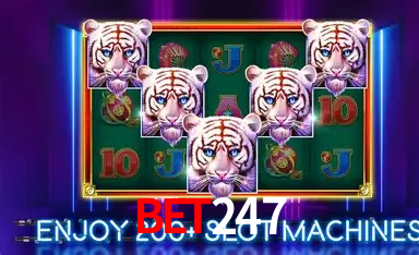 A Experiência Imersiva dos Cassinos Ao Vivo no bet247
