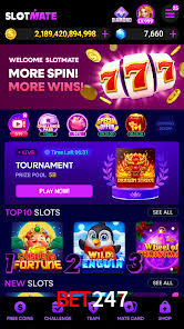 Crash Games Statistics bet247